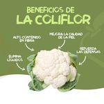 Coliflor-1-Unidad-2-37214