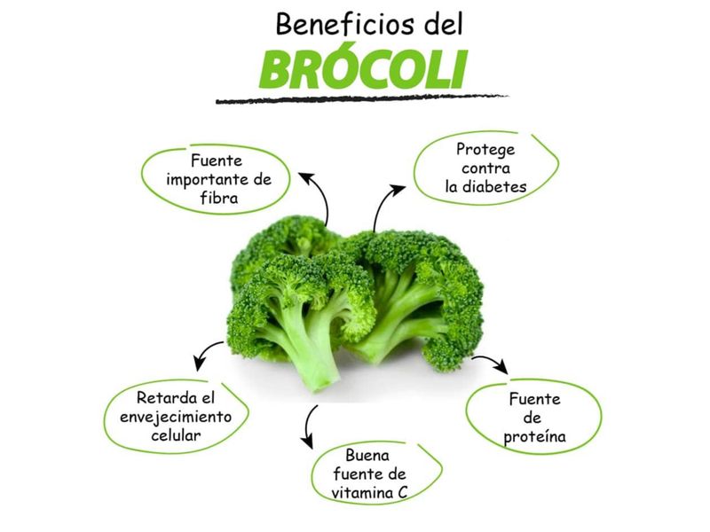 Brocoli-Empacado-1Kg-2-A-3-Unidades-Aproximadamente-3-26250