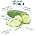 Pepino-Empacado-En-Mallla-De-3-Unidades-3-26754