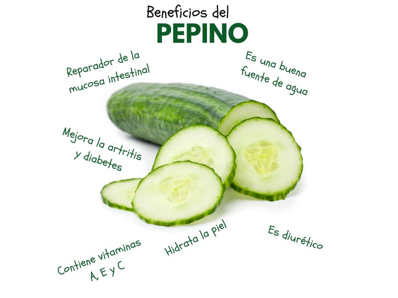 Pepino-Empacado-En-Mallla-De-3-Unidades-3-26754