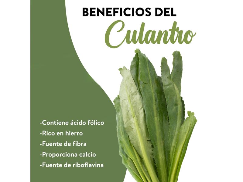 Culantro-Coyote-En-Rollo-3-26762