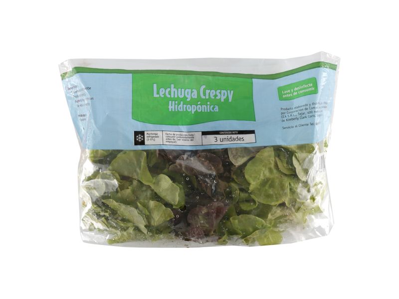 3-Pack-Lechuga-Crespy-Hidroponica-2-27245