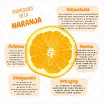 Naranja-Malla-10-Unidades-3-60135