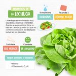 Lechuga-Marketside-Americana-Hoja-Entera-200gr-3-75642