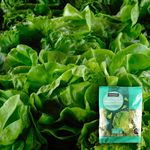 Lechuga-Marketside-Americana-Hoja-Entera-200gr-4-75642