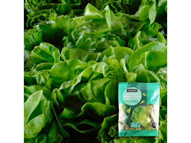 Lechuga-Marketside-Americana-Hoja-Entera-200gr-4-75642