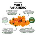 Chile-Paname-o-Empacado-200Gr-3-32151