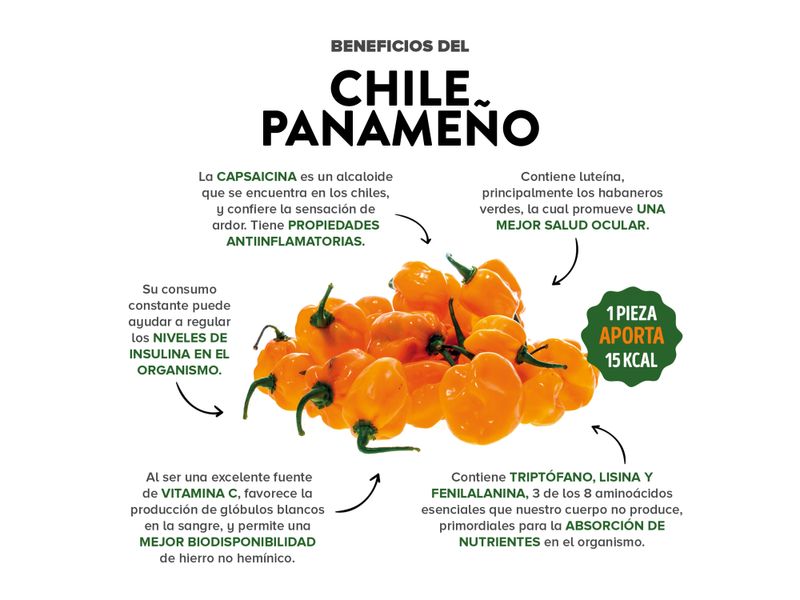 Chile-Paname-o-Empacado-200Gr-3-32151