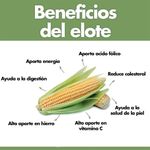 Elote-Tuza-1-Unidad-4-47843