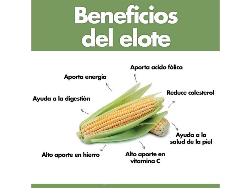 Elote-Tuza-1-Unidad-4-47843