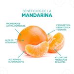 Mandarina-Hortifruti-Importada-Emp-900-gr-4-68295