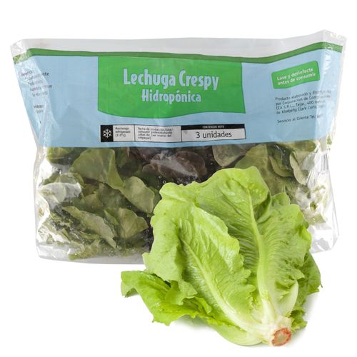 3 Pack Lechuga Crespy Hidroponica