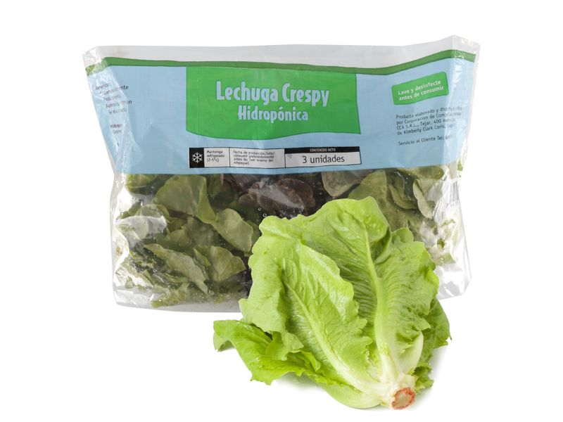 3-Pack-Lechuga-Crespy-Hidroponica-1-27245