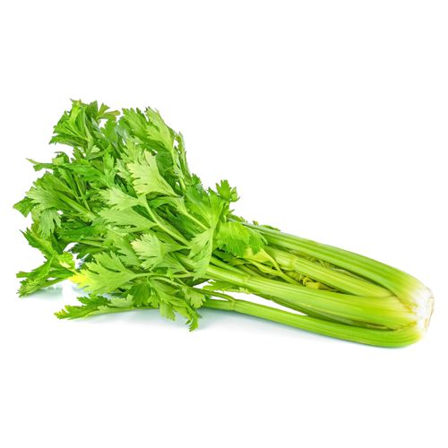 Apio verde Hortifruti - Precio indicado por kilo