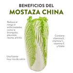 Mostaza-China-Unidad-4-38480