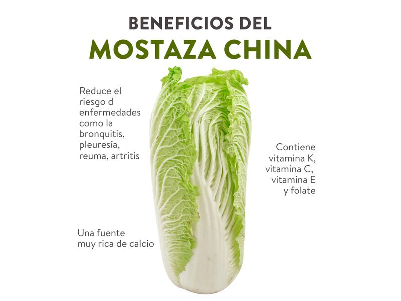 Mostaza-China-Unidad-4-38480