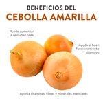 Cebolla-Empacada-Kilo-4-80041