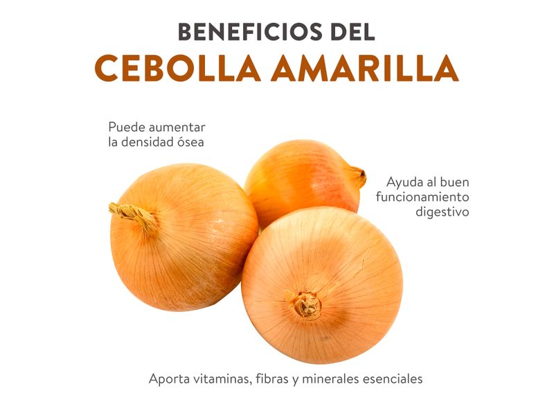 Cebolla-Empacada-Kilo-4-80041