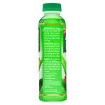 Bebida-Okf-Aloe-Vera-King-500ml-2-26420