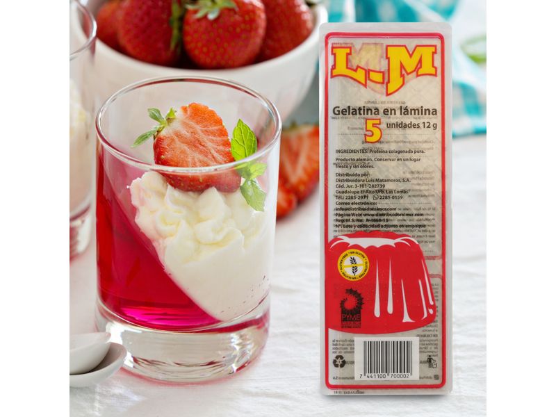 Gelatina-En-L-mina-L-M-5-Unidades-12Gr-4-29329