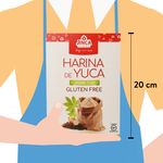 Harina-Jinca-Foods-De-Yuca-Sin-Gluten-454gr-5-31779