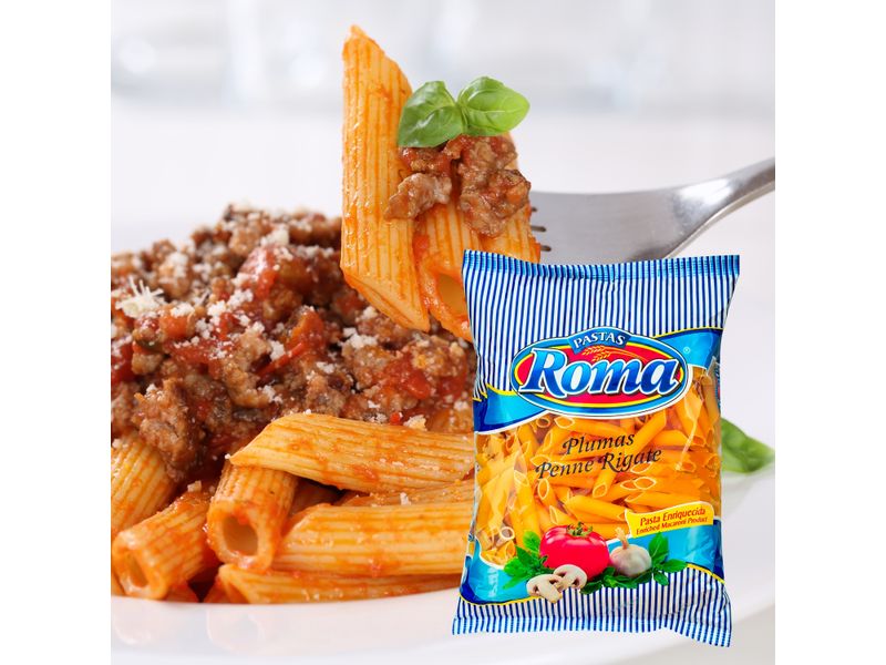 Pasta-Mediana-Roma-Plumas-Paquete-250gr-4-35188