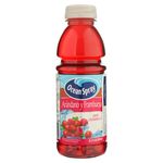 Jugo-Oceans-De-Ar-ndano-450ml-2-77910