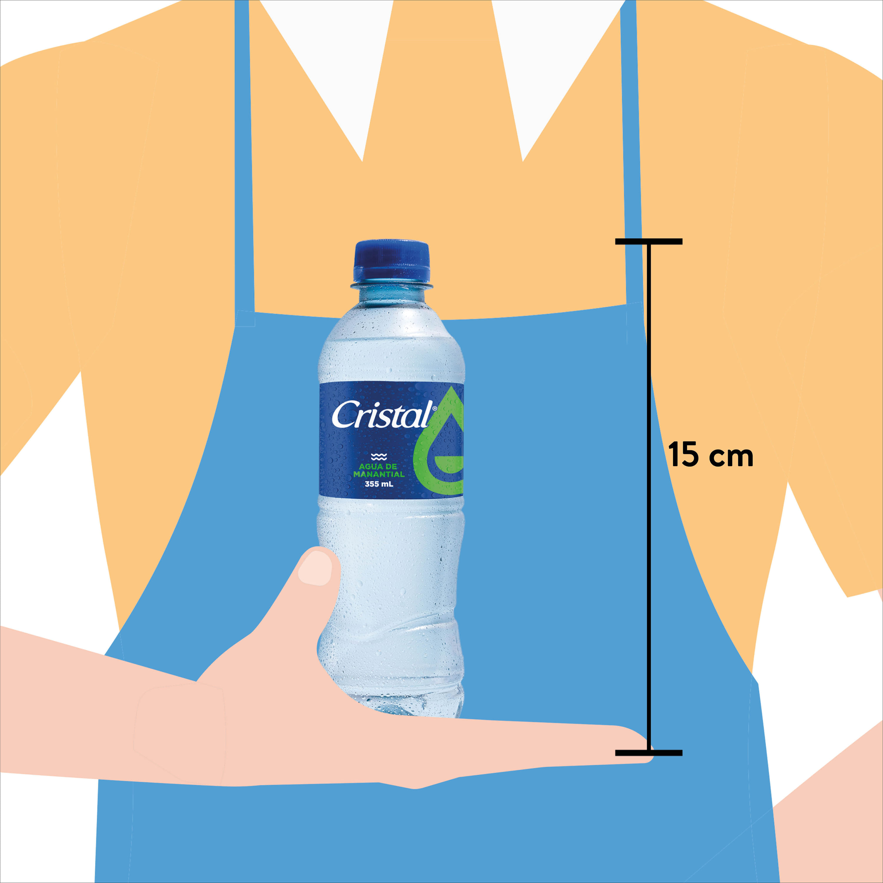 Comprar Agua Cristal Pet 355ml, Walmart Costa Rica - Maxi Palí