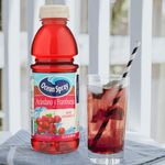 Jugo-Oceans-De-Ar-ndano-450ml-5-77910