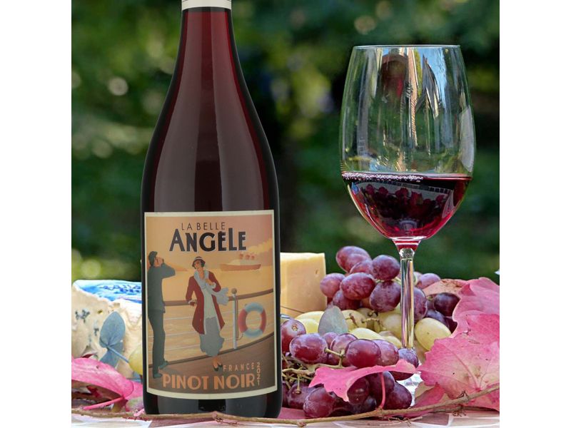 Vino-Tinto-La-Belle-Angelle-Pinot-Noir-750ml-4-86512