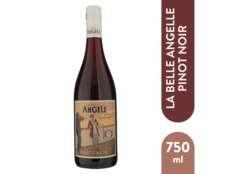 Vino-Tinto-La-Belle-Angelle-Pinot-Noir-750ml-1-86512