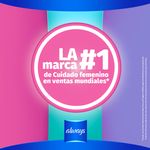 000000000070242966-UN-08