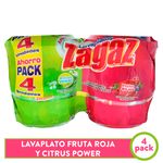 4-Pack-Lavaplatos-Zagaz-Citrus-Y-Fruto-425gr-1-29450