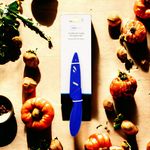 Cuchillo-De-Cocina-Con-Vaina-4-38548