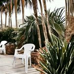 Silla-Turin-Megaplast-Con-Brazos-Blanca-1-Unidad-3-42325