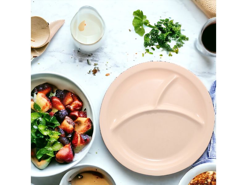 Plato-Best-Melamine-3-Divisiones-4-77607