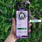 Shampoo-Herbal-Essences-Anti-Frizz-Lavanda-Aceite-de-Almendras-400-ml-10-80420