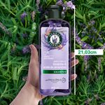 Shampoo-Herbal-Essences-Anti-Frizz-Lavanda-Aceite-de-Almendras-400-ml-10-80420