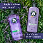 Shampoo-Herbal-Essences-Anti-Frizz-Lavanda-Aceite-de-Almendras-400-ml-9-80420