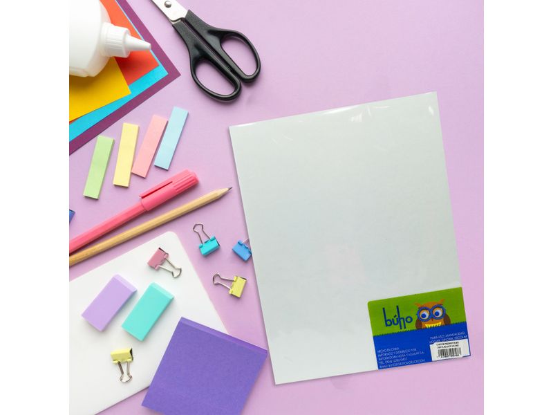 Cart-n-Presentaci-n-Buho-Blanco-Carta-Paquete-10-Unidades-3-53484
