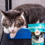Arena-Golden-Pet-Gato-Aroma-Lim-n-5Kg-4-33932