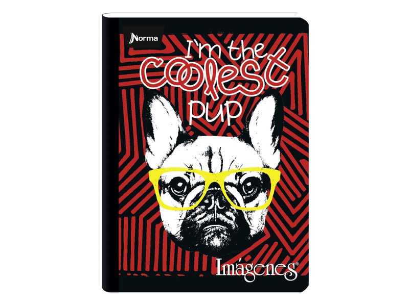 000000000075121564-UN-11