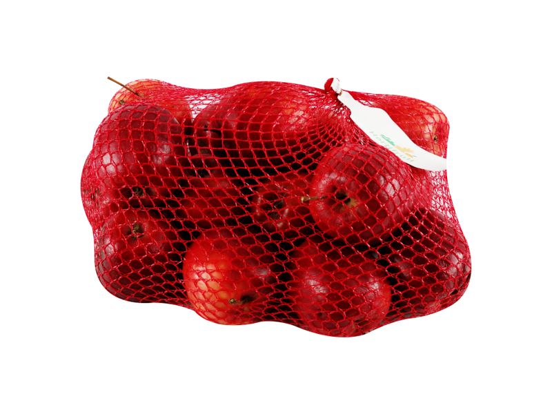 Manzana-Gala-Empacada-1-5-Kilo-13-a-15-unidades-Aproximadamente-3-60148