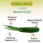 Cebollino-En-Malla-Kilo-4-26761