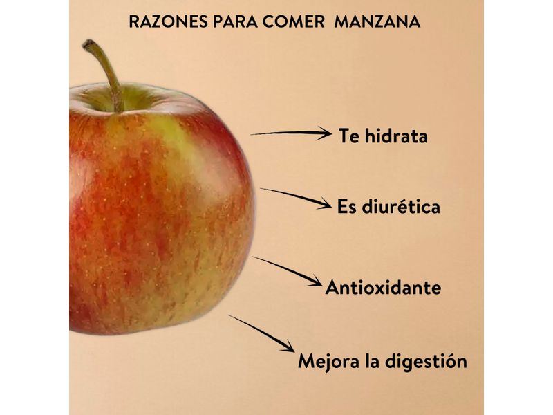 Manzana-Gala-Empacada-1-5-Kilo-13-a-15-unidades-Aproximadamente-5-60148