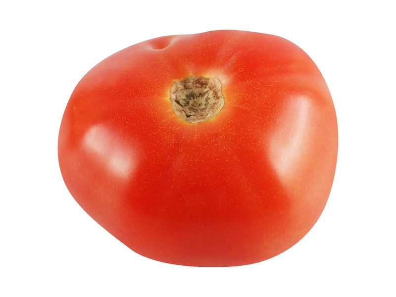 Tomate-Cosecha-Kilo-5-A-8-Unidades-Por-Kg-Aproximadamente-3-57540