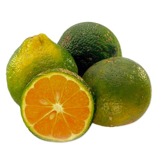 Limón Mandarino 8 Unidades