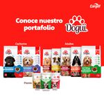 Alimento-Dogui-Perro-Adulto-Sabor-Carne-Y-Vegetales-18-Meses-En-Adelante-18Kg-5-74225