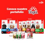 Alimento-Dogui-Perro-Adulto-Sabor-Carne-Y-Vegetales-18-Meses-En-Adelante-18Kg-6-74225