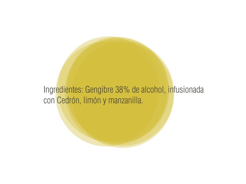 Ginebra-Diega-Amarilla-950ml-8-86091